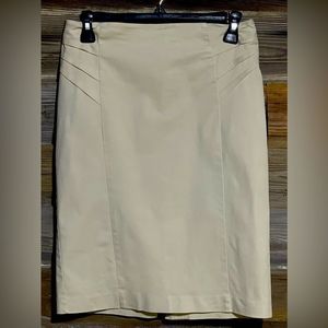 New York & Company Stretch Skirt